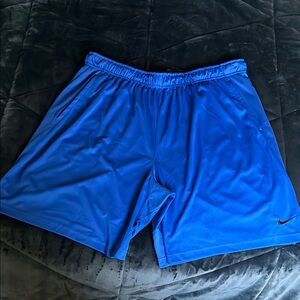 Nike Men's Blue Athletic Shorts